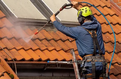 Démoussage et hydrofuge de toiture à Crépand
